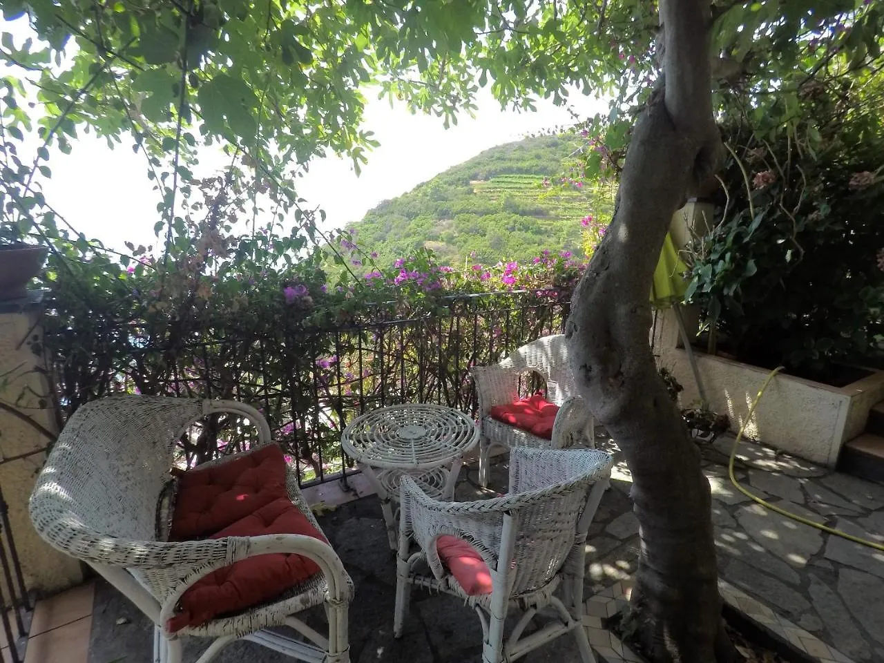 Affittacamere Cinqueterre Holidays Riomaggiore