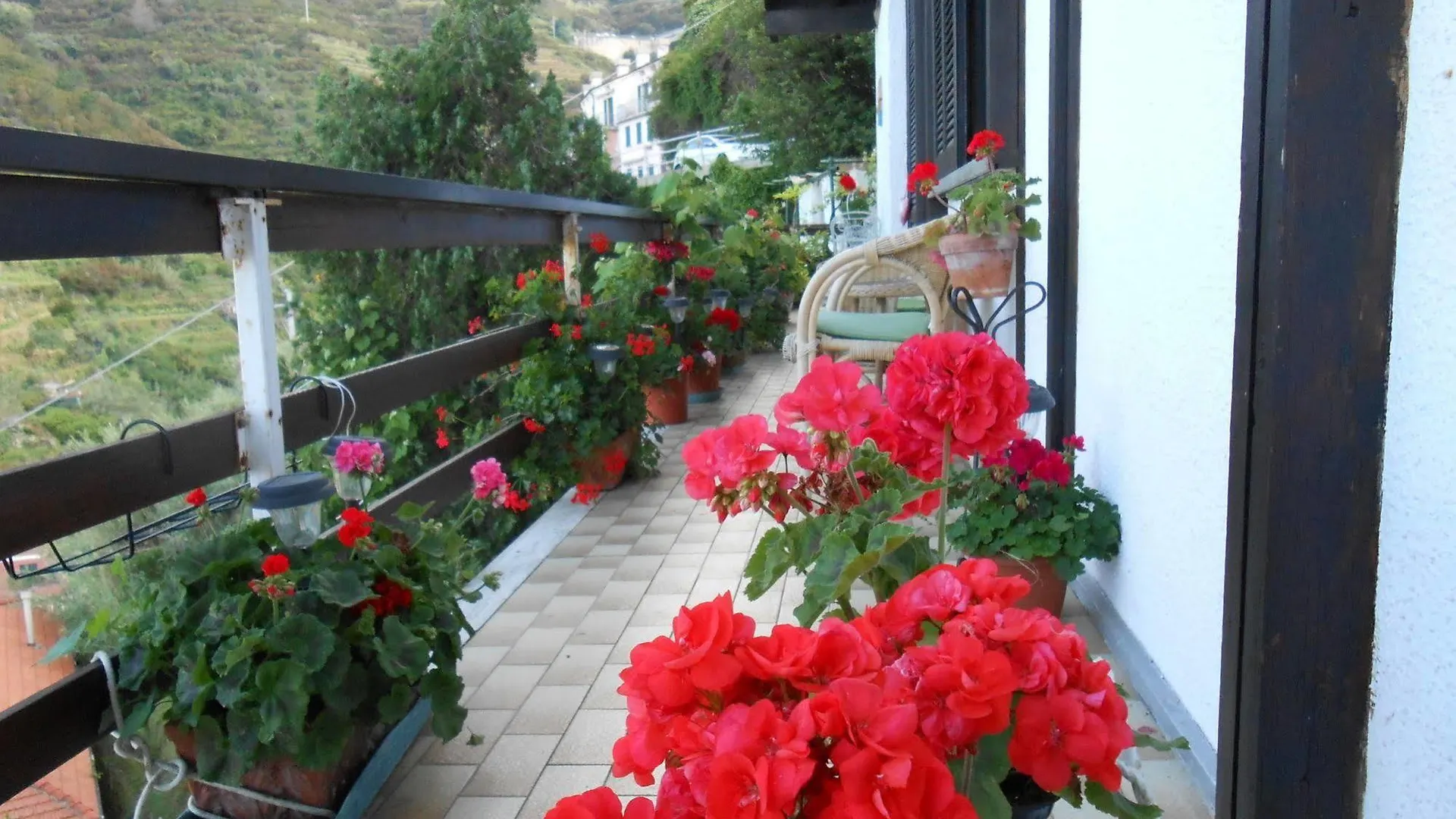 Affittacamere Cinqueterre Holidays Riomaggiore