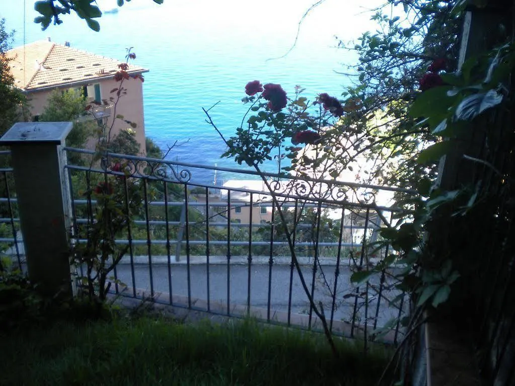 Cinqueterre Holidays Riomaggiore Affittacamere